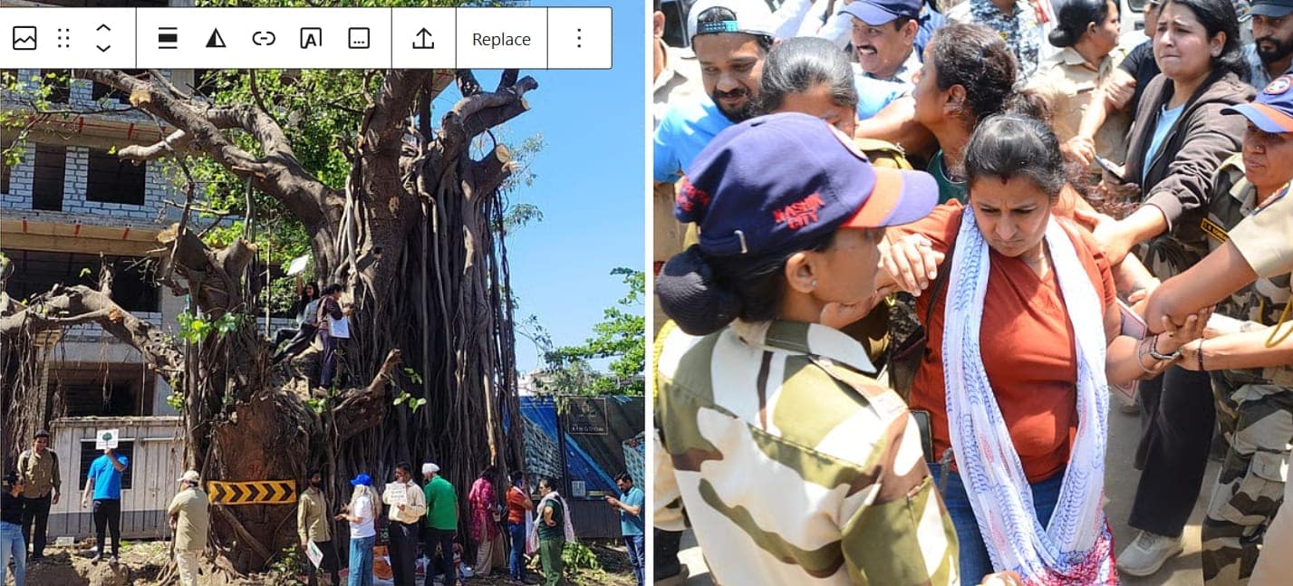 nasik save trees